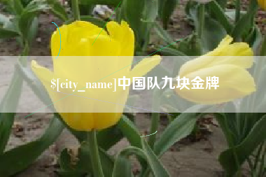 乐陵中国队九块金牌