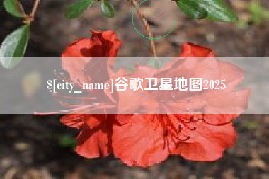 乐陵谷歌卫星地图2025