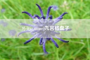 乐陵九宫格盘子