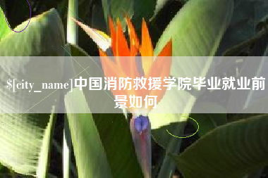 乐陵中国消防救援学院毕业就业前景如何