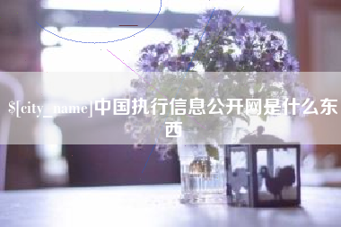 乐陵中国执行信息公开网是什么东西