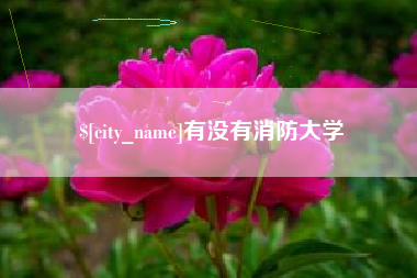 乐陵有没有消防大学