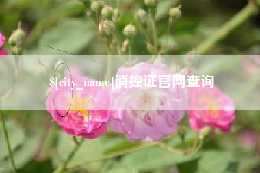 乐陵消控证官网查询