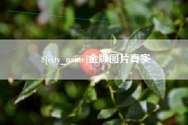 乐陵金牌图片真实
