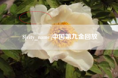 乐陵中国第九金回放