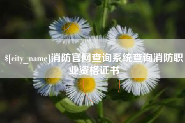 乐陵消防官网查询系统查询消防职业资格证书