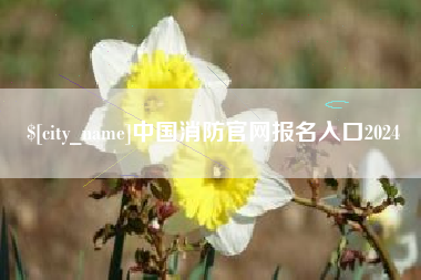 乐陵中国消防官网报名入口2024