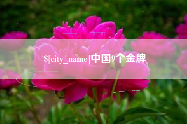 乐陵中国9个金牌