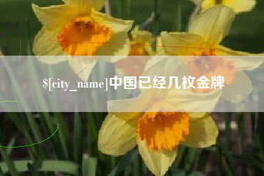 乐陵中国已经几枚金牌