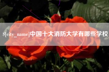 乐陵中国十大消防大学有哪些学校