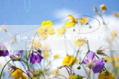 乐陵中国队拿几块金牌了