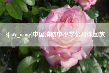 乐陵中国消防中小学公开课回放