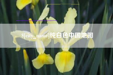 乐陵纯白色中国地图