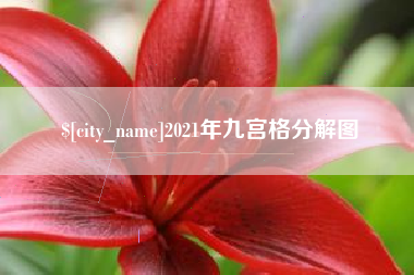 乐陵2021年九宫格分解图