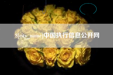 乐陵中国执行信息公开网