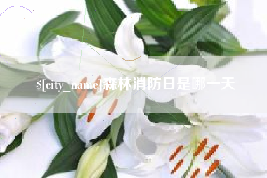 乐陵森林消防日是哪一天