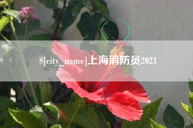 乐陵上海消防员2021