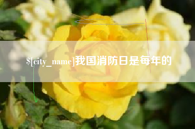 乐陵我国消防日是每年的