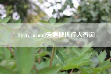 乐陵失信被执行人杳询