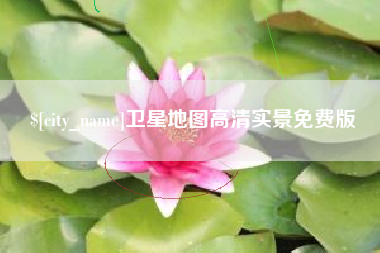 乐陵卫星地图高清实景免费版