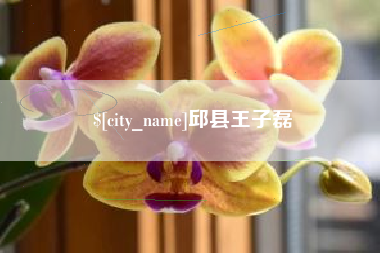 乐陵邱县王子磊
