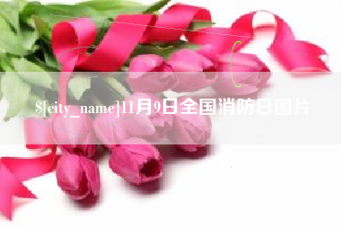 乐陵11月9日全国消防日图片