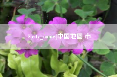 乐陵中国地图 市