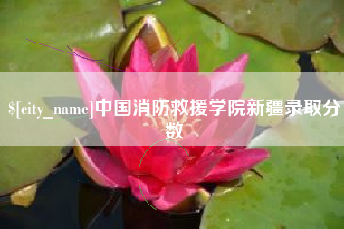 乐陵中国消防救援学院新疆录取分数