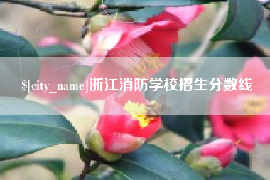 乐陵浙江消防学校招生分数线