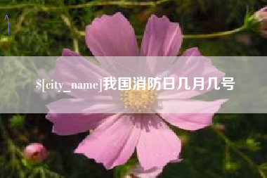 乐陵我国消防日几月几号