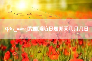 乐陵我国消防日是哪天几月几日