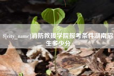乐陵消防救援学院报考条件湖南招生多少分