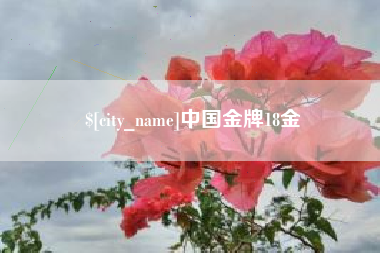 乐陵中国金牌18金