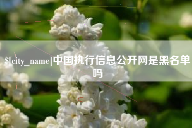 乐陵中国执行信息公开网是黑名单吗