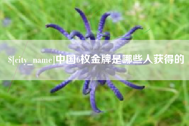 乐陵中国6枚金牌是哪些人获得的