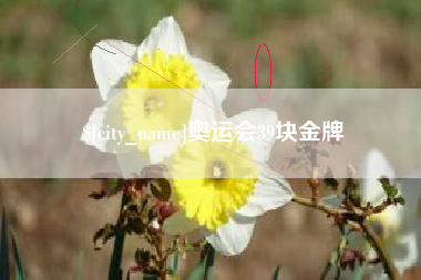 乐陵奥运会39块金牌