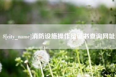 乐陵消防设施操作员证书查询网址