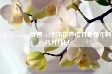 乐陵我国119消防日宣传日是每年的几月几日
