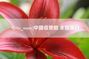 乐陵中国省地图 全图黑白