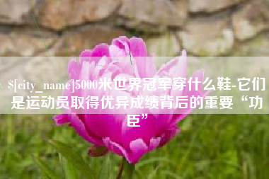 乐陵5000米世界冠军穿什么鞋-它们是运动员取得优异成绩背后的重要“功臣”
