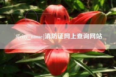 乐陵消防证网上查询网站
