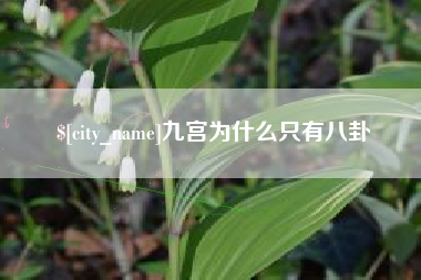 乐陵九宫为什么只有八卦