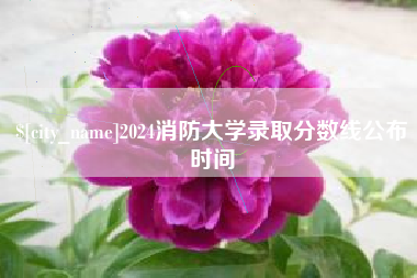 乐陵2024消防大学录取分数线公布时间