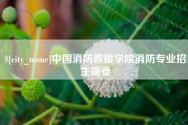 乐陵中国消防救援学院消防专业招生简章