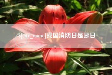 乐陵我国消防日是哪日