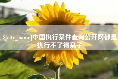 乐陵中国执行案件查询公开网都是执行不了得案子