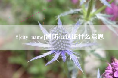 乐陵消防ccc认证什么意思