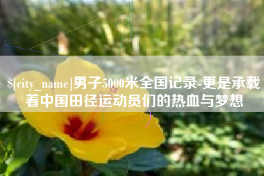 乐陵男子5000米全国记录-更是承载着中国田径运动员们的热血与梦想