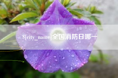 乐陵全国消防日哪一