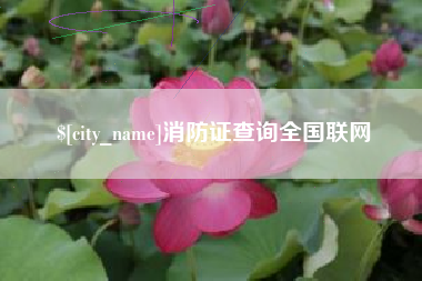 乐陵消防证查询全国联网